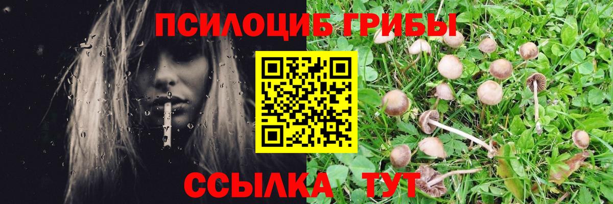 Псилоцибиновые грибы MAGIC MUSHROOMS  Галлюциногенные грибы Psilocybine cubensis  Вход с VPN  Новошахтинск 